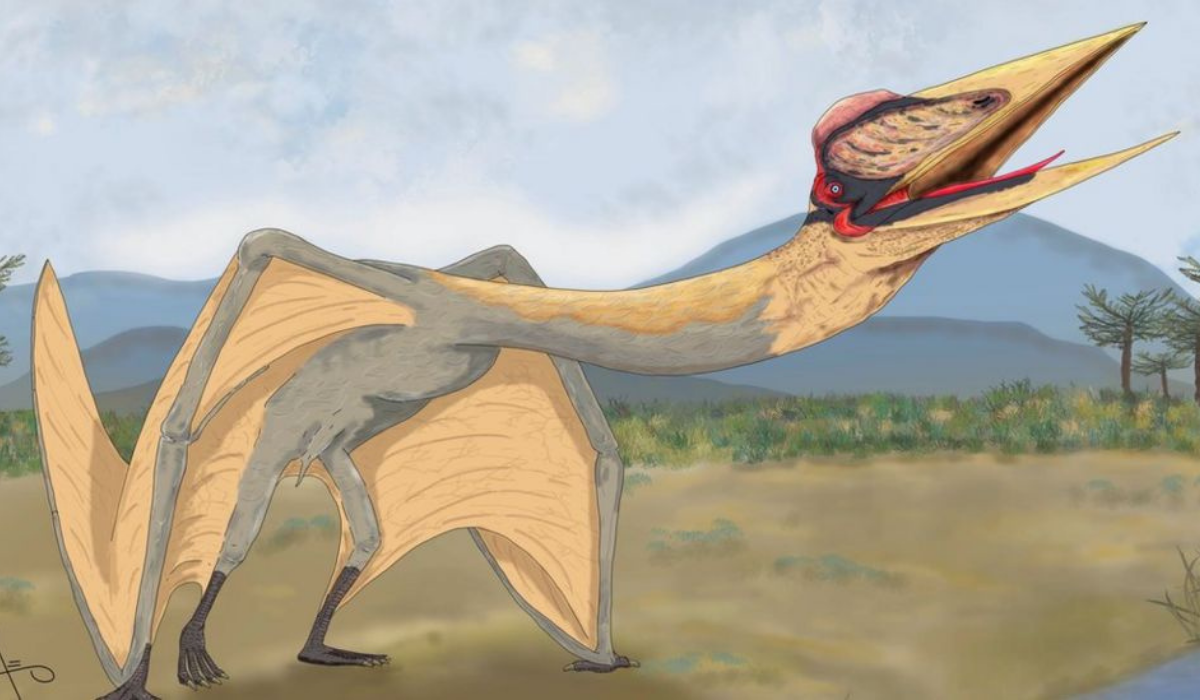 Flying reptile: Remains of scary prehistoric creature discovered